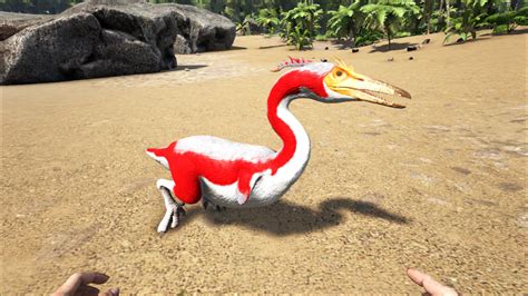 The <strong>Kairuku</strong> (Ky-roo-koo) is one of the Creatures in <strong>ARK</strong>: Survival Evolved. . Hesperonis ark
